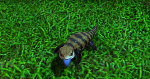 ffxiv_20221126_015941_709