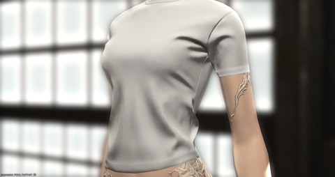 ffxiv_20250806_040827_362