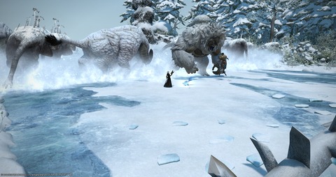 ffxiv_20230110_221959_011