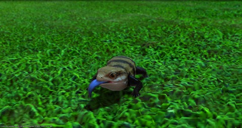 ffxiv_20221126_015924_458