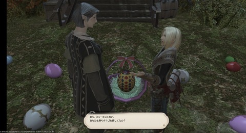 FF14_SS001276