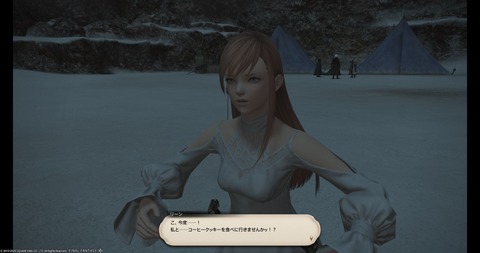 FF14_000743