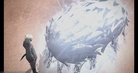FF14_000879