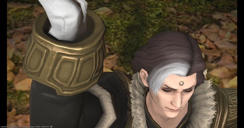 FF14_000531