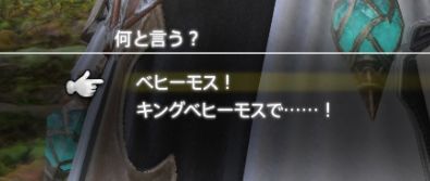 FF14_000684