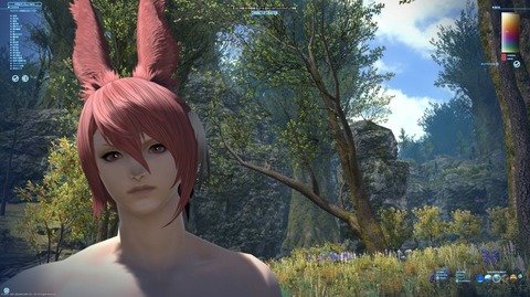 Ff14 ヴィエラ男性 女性より美人にキャラメイク出来てしまう 女装ヴィエラ男性が流行るかもしれない 馬鳥速報 記事コメント 1