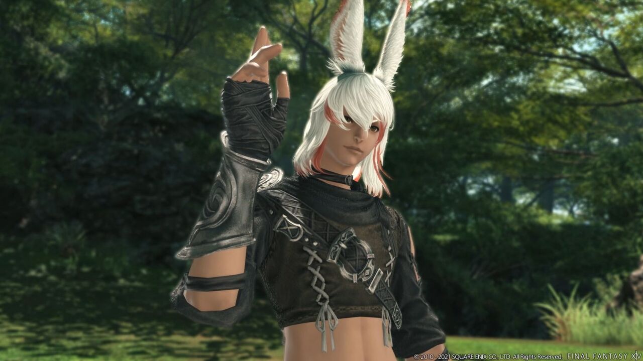 Ff14 オスで女装したほうが美人になりそう ヴィエラ男性 美形すぎてヴィエラ女性より可愛い 美人と言われてしまう 馬鳥速報