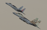 iaf_eagles