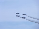 t4bi_001_flt