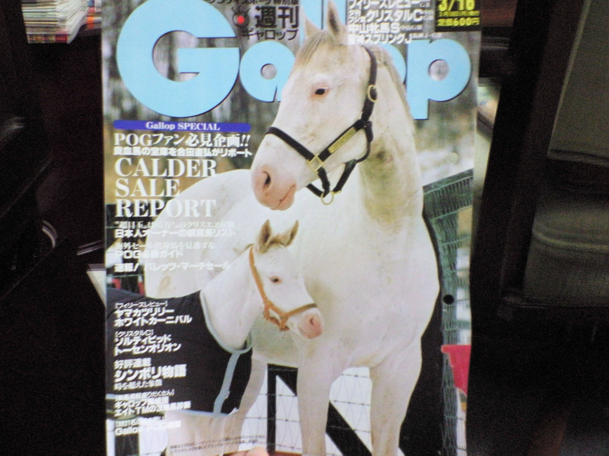 シラユキヒメ研究 うまいるブログ シラユキヒメ研究 うまいるブログ