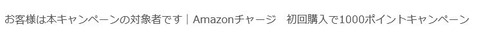キャンペーン2