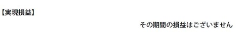 期間損益報告書