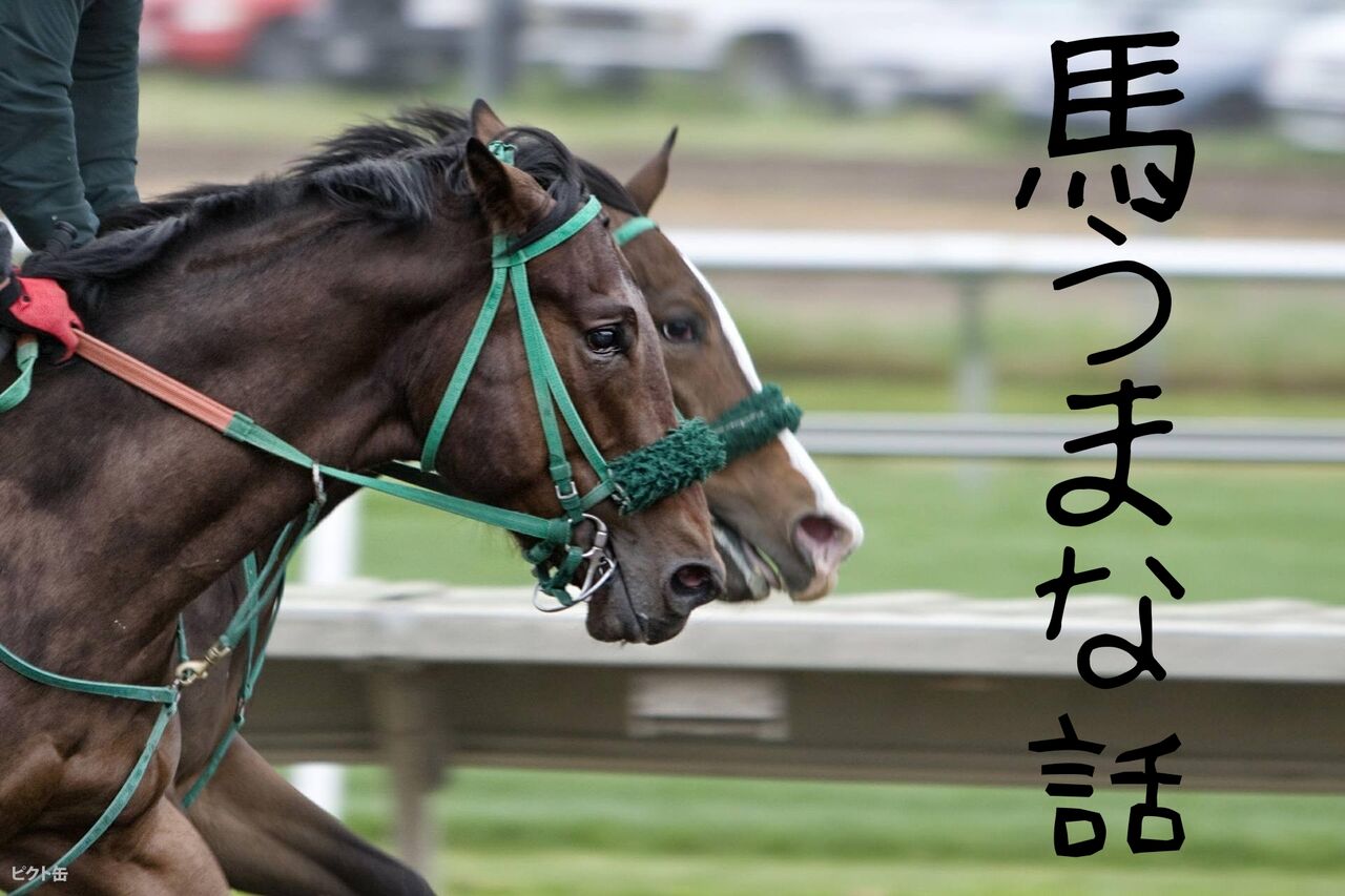 馬うまな話 馬うまな話