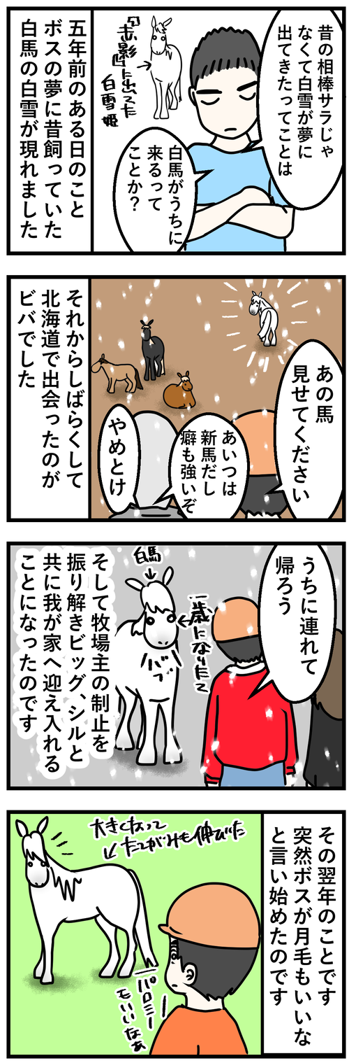 ビバの七変化1