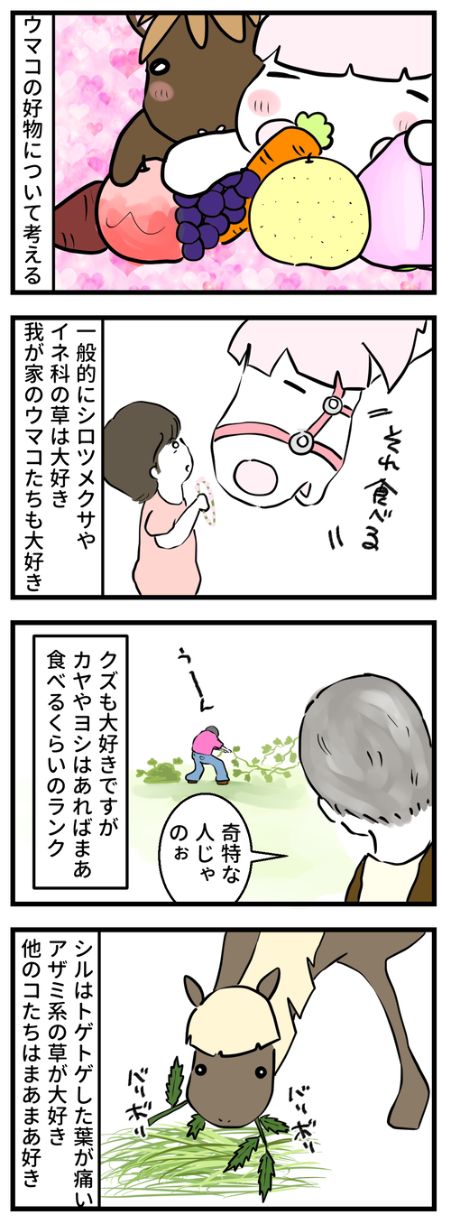 81