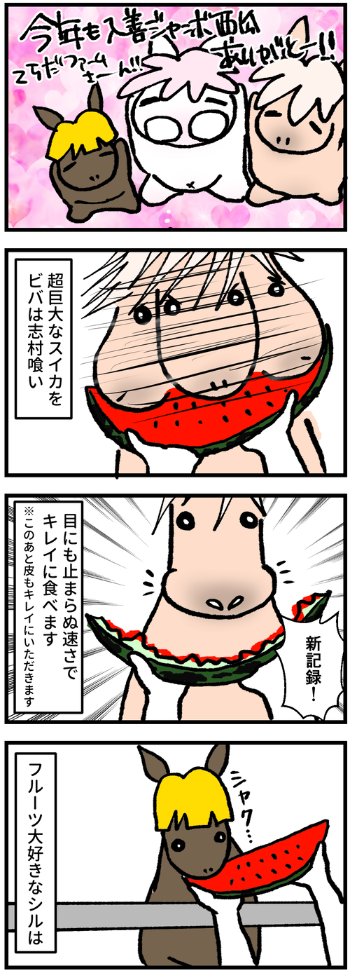 入善ジャンボ西瓜1