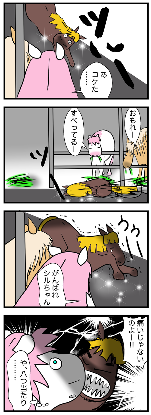 シルコケる2