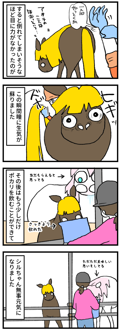 シル熱中症2