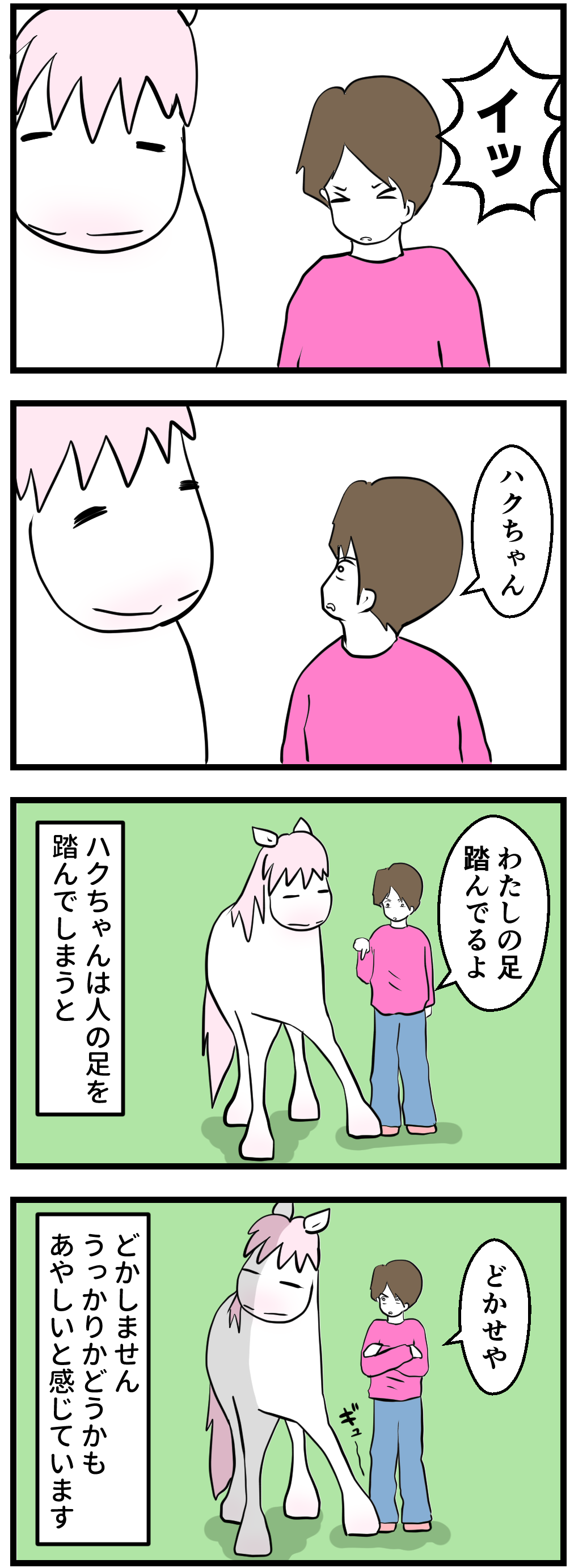 馬が人の足を踏んだ時の反応 今日もうちのウマコが騒いでる