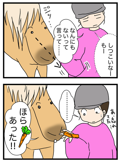 ぽっけ2