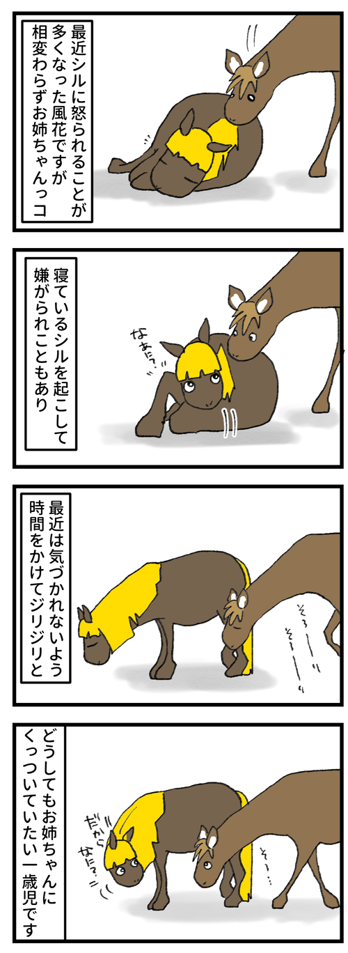 お姉ちゃんっこ2