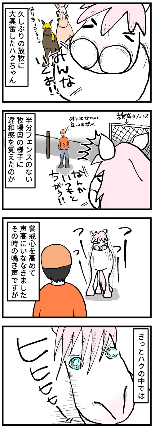 久しぶりの放牧③−1