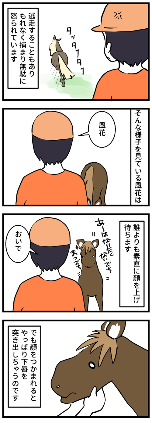 62