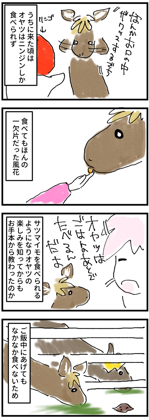 オヤツ1