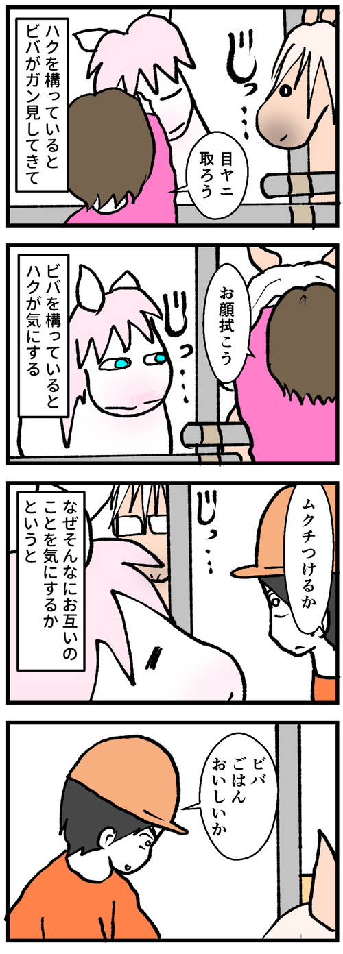 ビバとハクは永遠のライバル1