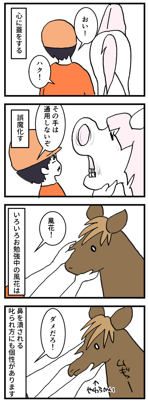 カクカク2