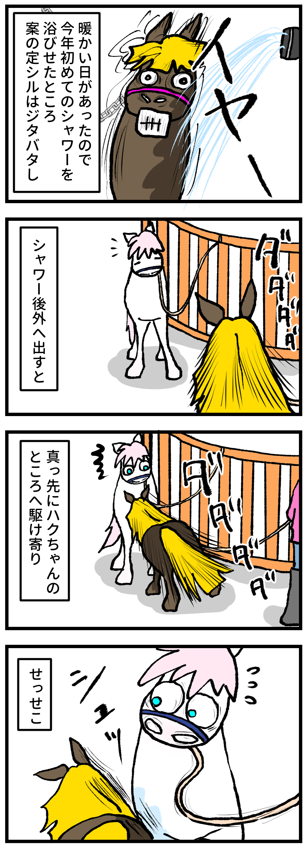 今日もうちのウマコが騒いでるハクちゃんに起きたある災難コメント