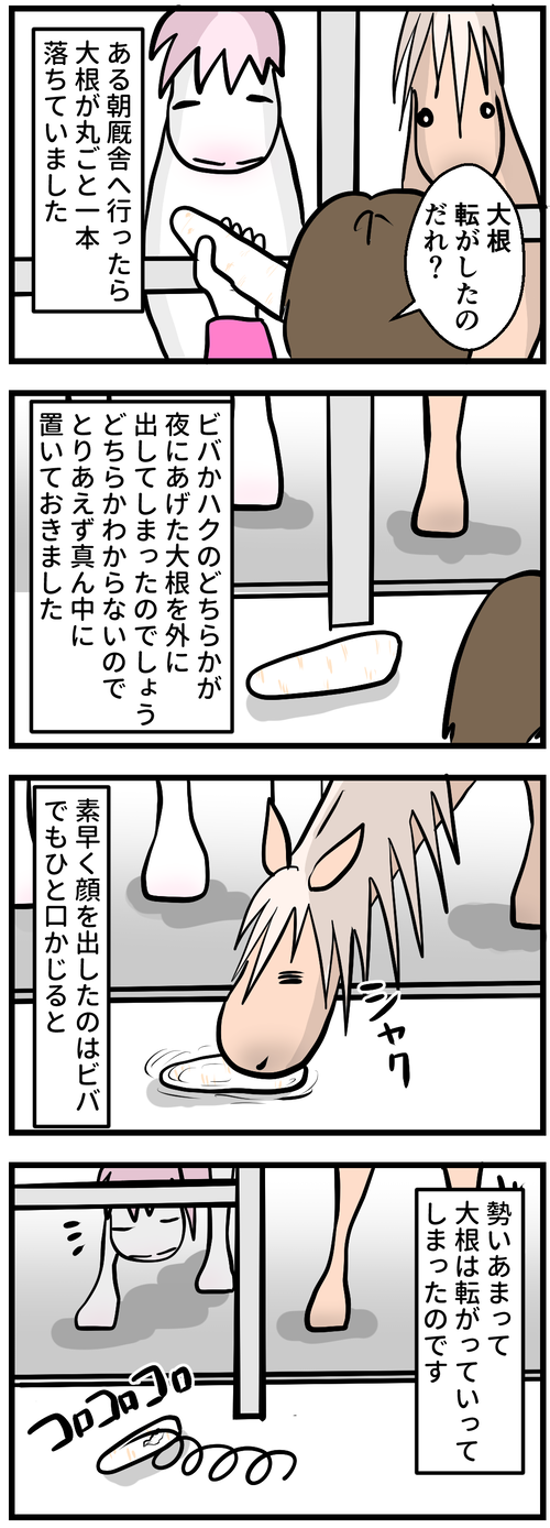 大根が落ちてた1