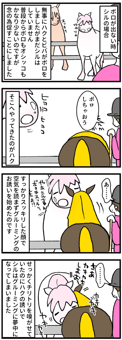 ボロでない1