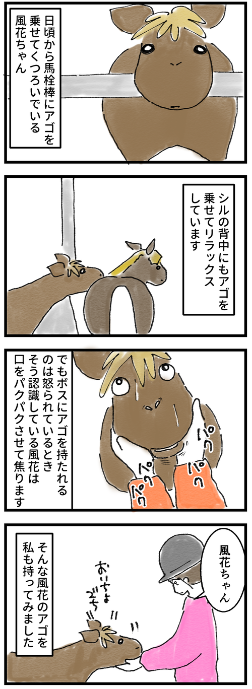 風花アゴ1