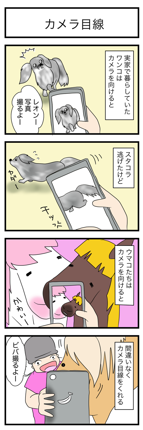 カメラ目線1