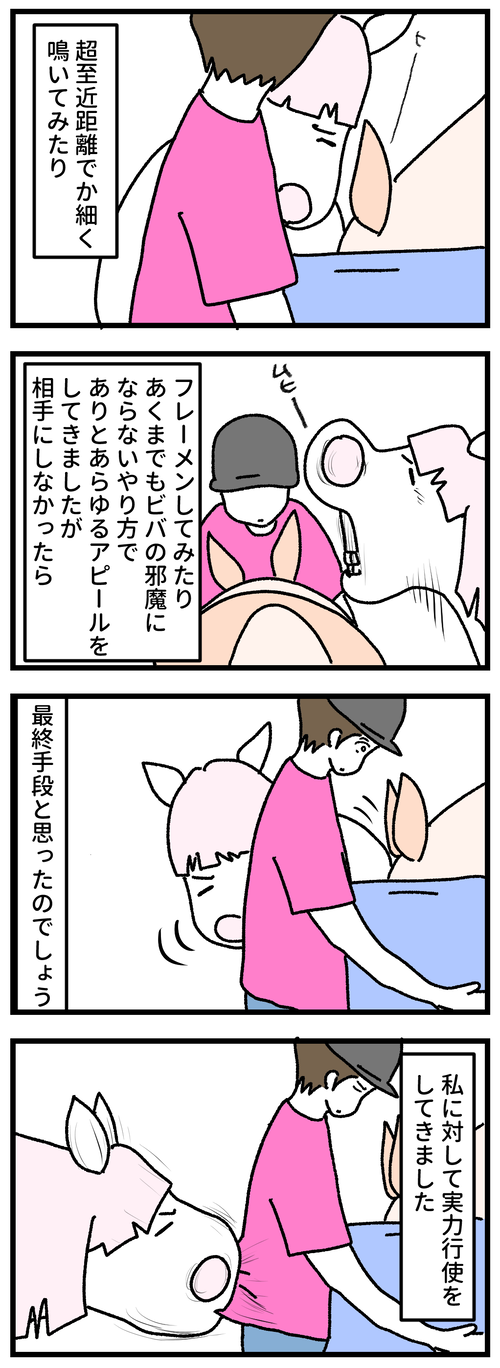 ハクポカリ2