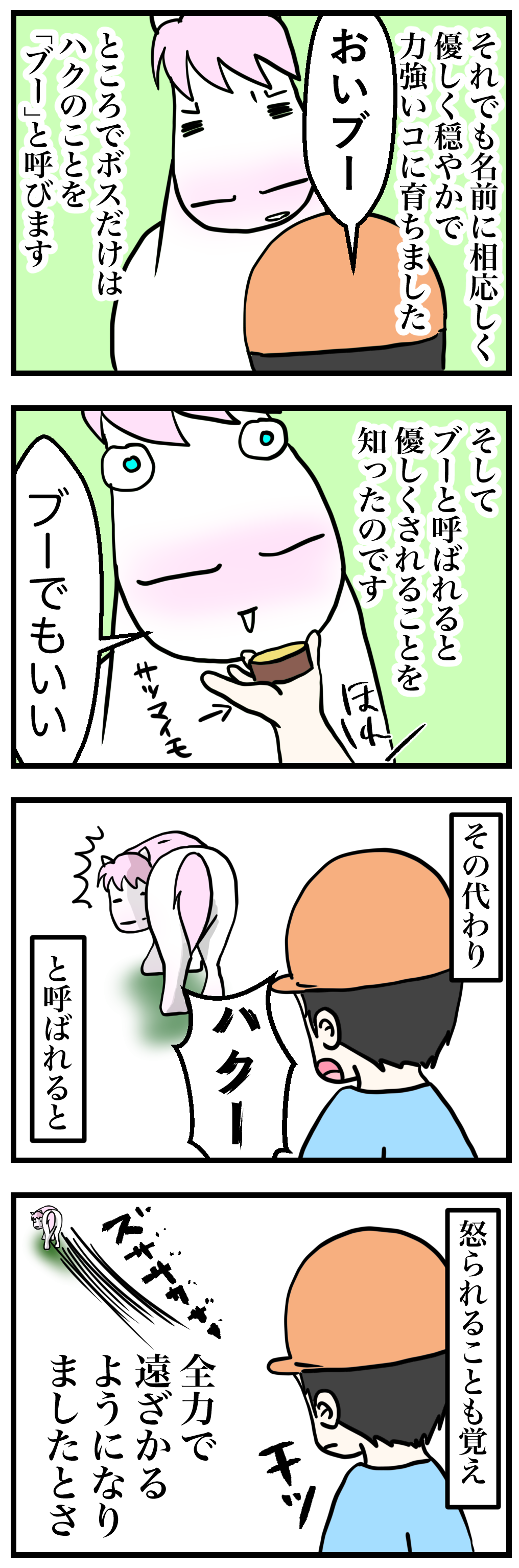 君の名は 馬は自分の名前をどう認識しているのかしているのか ハクの場合 今日もうちのウマコが騒いでる 君の名は 馬は自分の名前をどう認識しているのかしているのか ハクの場合 今日もうちのウマコが騒いでる