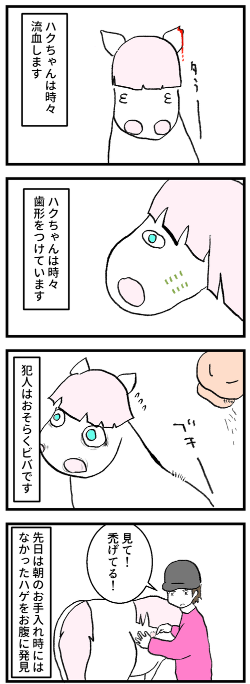 ハゲ1