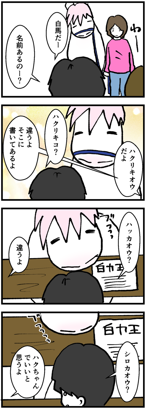 ハクちゃん誕生日1