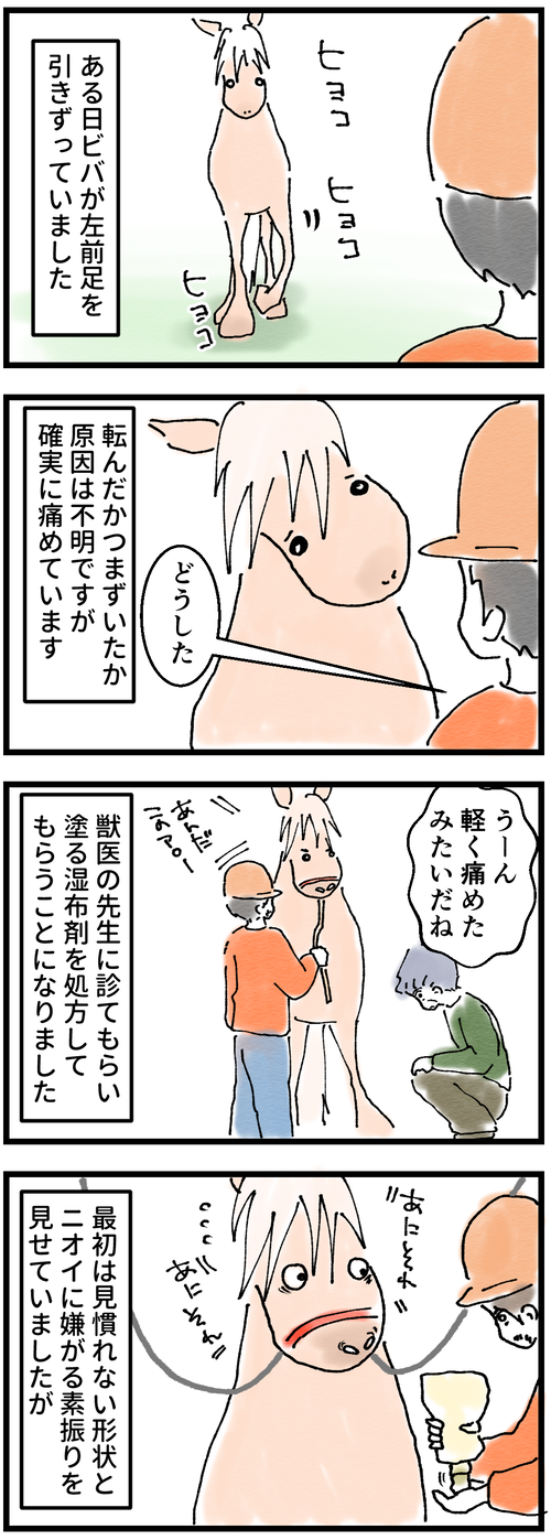 あしいためる1
