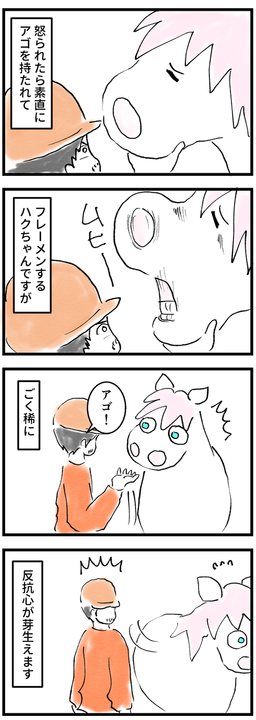詰んだハク1
