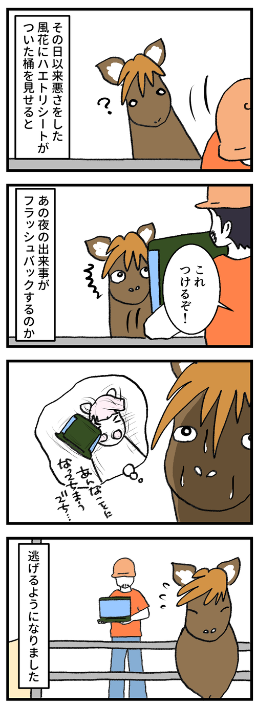 ハエトリシート2