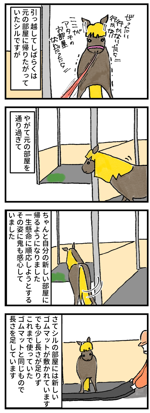 ランチョンマット1