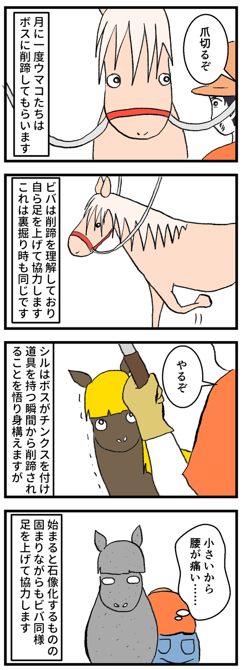 ビーバームーン1