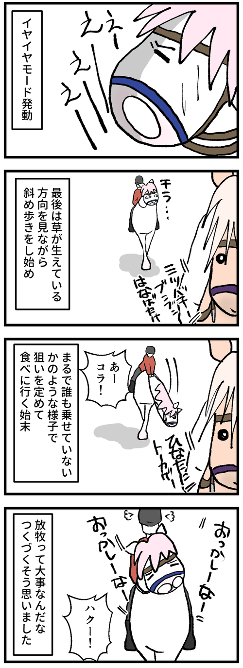 久しぶりの放牧②−2
