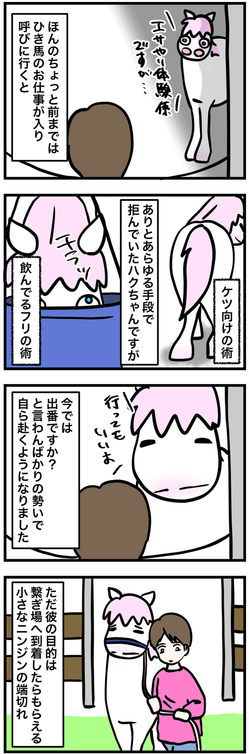 ハクちゃん鳴く1