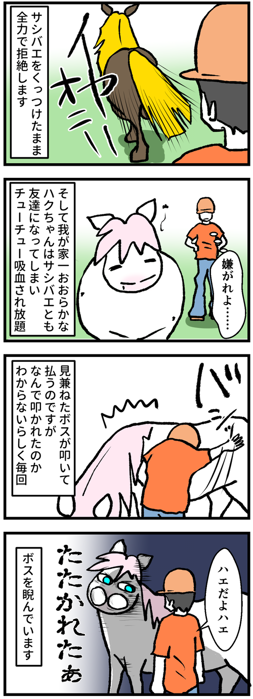 サシバエ2