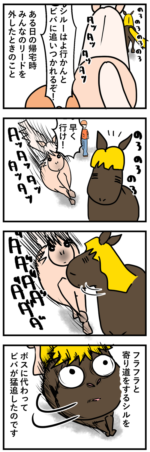 シル猛追される1