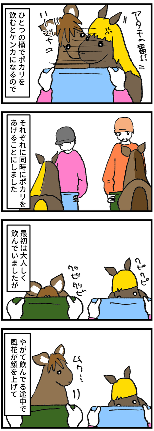 争奪戦1