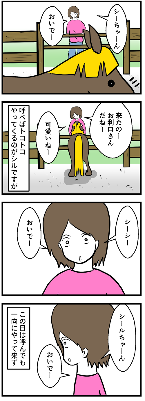 いじらしいシル1